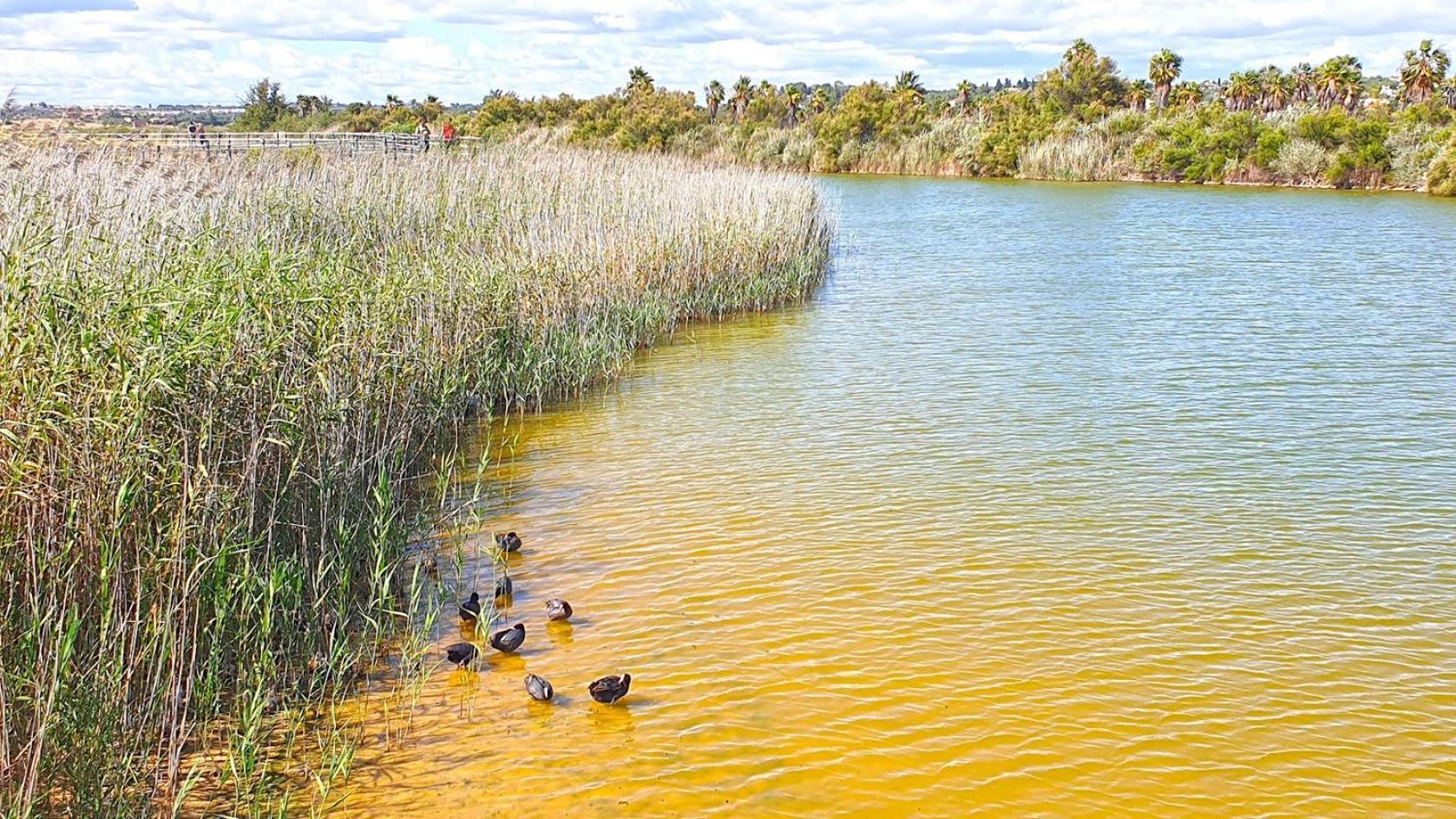 Cantinho Do Mocho Pêra Buitenkant foto